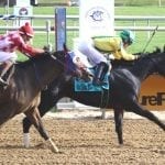 Media Eclipse Award winners announced in writing, photography