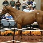 Fasig-Tipton