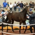 Delaware Park Owners’ Day celebrates industry’s economic impact
