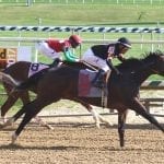Shimmering Aspen, Noteworthy Peach look to regain winning ways