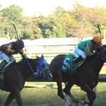 At Maryland Million, something old, something new
