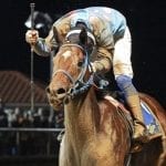 Equestricon announces 2018 schedule as tickets now on sale