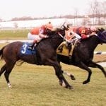 Queen Caroline looks to defend Nellie Mae Cox title