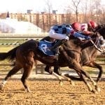 Laurel Park Racing Notebook, Fall Meet Vol. 4