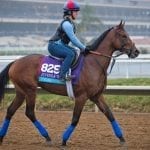 Jock Alex Cintron “feeling great” after first stakes win back
