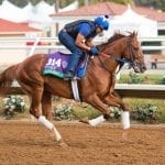 Mor Spirit, Stellar Wind empty in Breeders’ Cup bouts