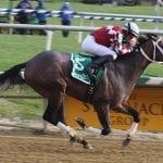 Experimental Free Handicap to get new name