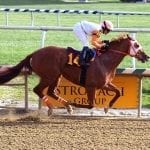 Charitable Annuity to face Classic rivals in A Huevo