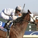 Experimental Free Handicap to get new name