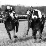 Shimmering Aspen, Noteworthy Peach look to regain winning ways
