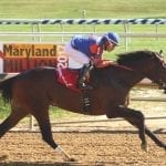 Limited View heads Md. Juvenile Filly Championship field