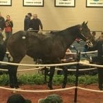 Four Midlantic stakes downgraded for 2018