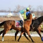 Gun Runner named Horse of the Year