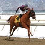 Equestricon sets 2018 dates to coincide with Breeders’ Cup