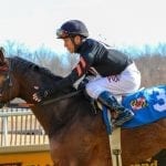 Md-based Old Time Revival second in Gotham; Enticed wins