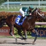 Beyond the Wire will host a free program on injuries and racehorses