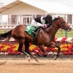 Good Magic, Gun Runner top NTRA polls
