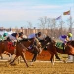 Three Midlantic trainers denied stud book privileges