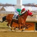 In the Navy Now up in time to win the Nellie Morse Stakes