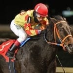 Delaware Park sets 2018 dates