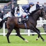Beyond the Wire will host a free program on injuries and racehorses