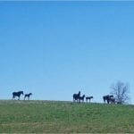 Midlantic racing roundup through Jan. 28