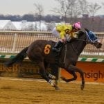 Md. Millon Turf winner Mr. d’Angelo back in action