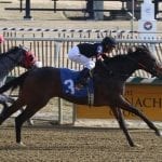 Sir Dudley Digges to seek first graded win in Dixie