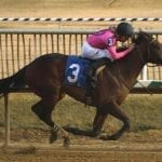 It Was Considered “couldn’t have done better” in maiden score