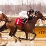Oh My! First win for trainer Brittany Trimble