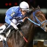 Jen Roytz named Retired Racehorse Project executive director