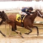 Midlantic racing roundup: Week ending Feb. 25