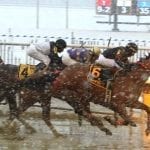 Still Having Fun takes Preakness step in Miracle Wood