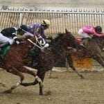 Jockey Toledo returns to action
