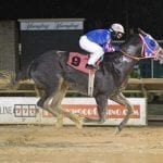 MD-breds dominate first Top Midlantic-bred Poll of 2018