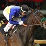 Bolt d’Oro, West Coast retain top spots in NTRA poll