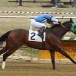 Lookback: No turf, no problem in Virginia-bred stakes