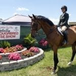 Bug rider Antonio Quiles gets first victory