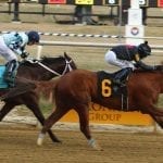 Commonwealth Derby, Oaks will not be run in 2018
