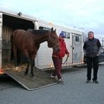 Graded turfers Ghost Hunter, Ring Weekend clash in Henry S. Clark