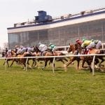 Carmelina looks to carry form to grass in Selima