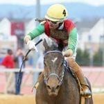 Lake Ponchatrain provides satisfying Dance to Bristol win