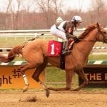 Audible jumps up in newest NTRA Top Thoroughbred Poll