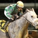 Moonlit Song to make 2018 debut in CT allowance