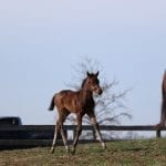 Maryland Seminar Series to kick off April 21