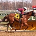 Meadowlands cancels Friday all-turf card