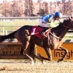 Equestricon announces 2018 schedule as tickets now on sale