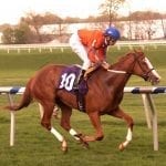 Just Howard aiming at return in G2 Dixie
