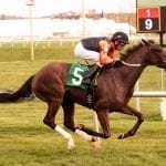 Lake Ponchatrain provides satisfying Dance to Bristol win