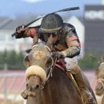 Tesio Stakes win makes Diamond King Preakness-bound